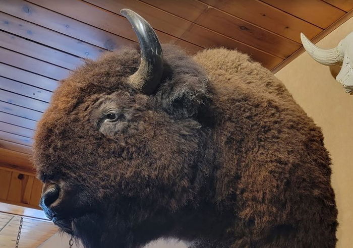 Audies Restaurant (Downings Restaurant) - Web Listing (newer photo)